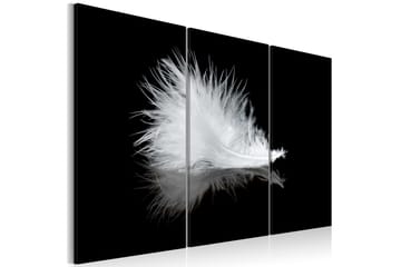 Bilde A small feather 90x60