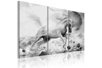Bilde A Unicorn On The Edge Of The World 120x80