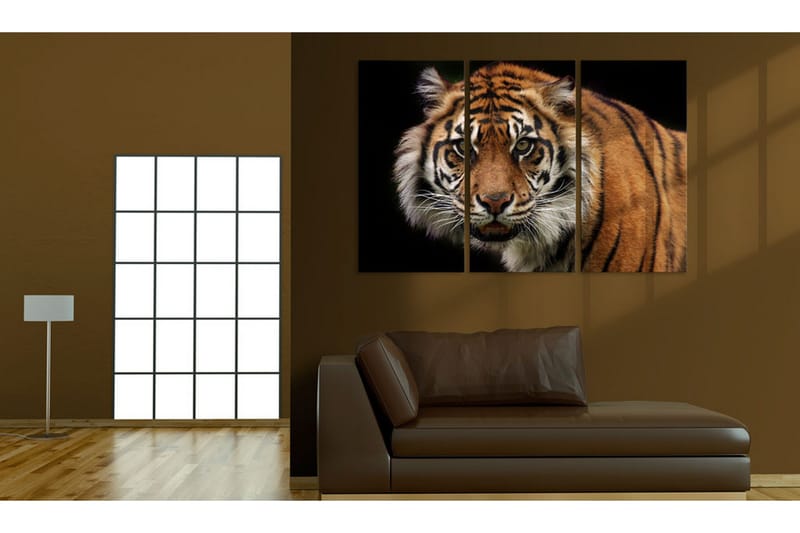 Bilde A Wild Tiger 60x40 - Artgeist sp. z o. o. - Innredning - Bilder & kunst - Lerretsbilder