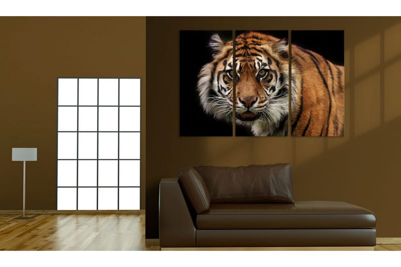 Bilde A wild tiger 90x60 - Artgeist sp. z o. o. - Innredning - Bilder & kunst - Lerretsbilder