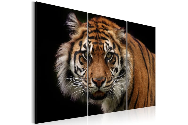 Bilde A wild tiger 90x60 - Artgeist sp. z o. o. - Innredning - Bilder & kunst - Lerretsbilder