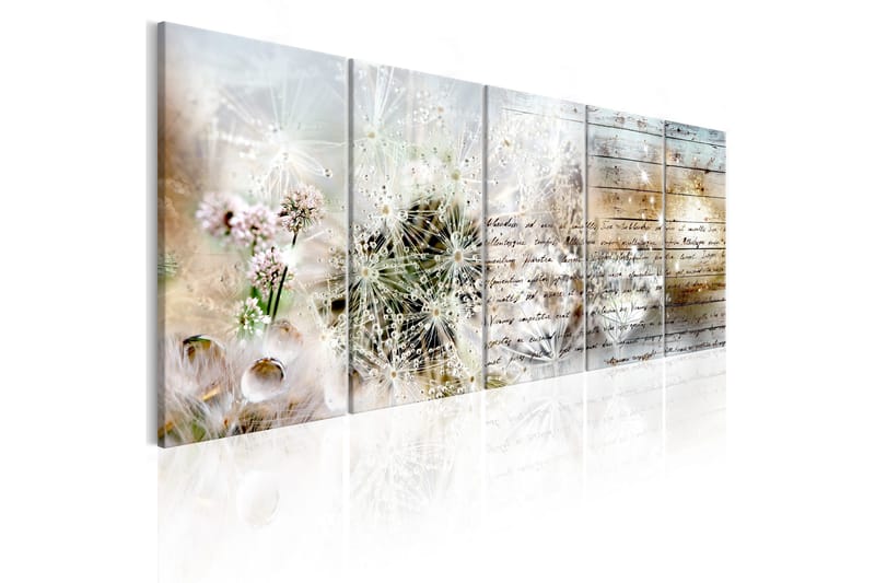 Bilde Abstract Dandelions 225x90, Artgeist sp. z o. o.