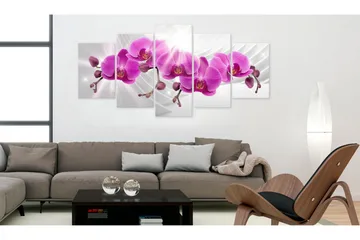 Bilde Abstract Garden Pink Orchids 100x50 - Artgeist sp. z o. o. - Innredning - Bilder & kunst - Lerretsbilder