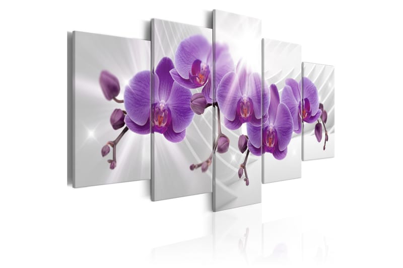 Bilde Abstract Garden Purple Orchis 100x50 - Artgeist sp. z o. o. - Lerretsbilder