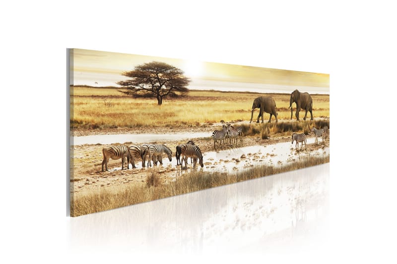 Bilde Africa At The Waterhole 135x45 - Artgeist sp. z o. o. - Lerretsbilder