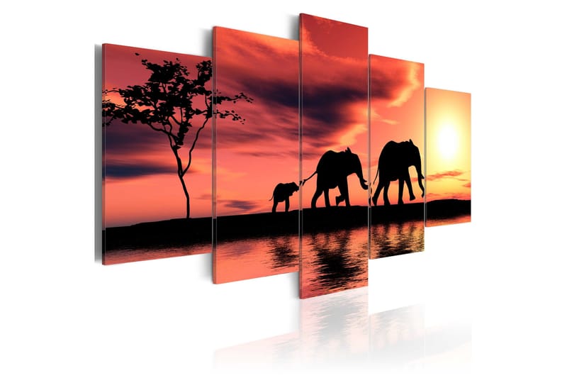 Bilde African Elephants Family 100x50, Artgeist sp. z o. o.