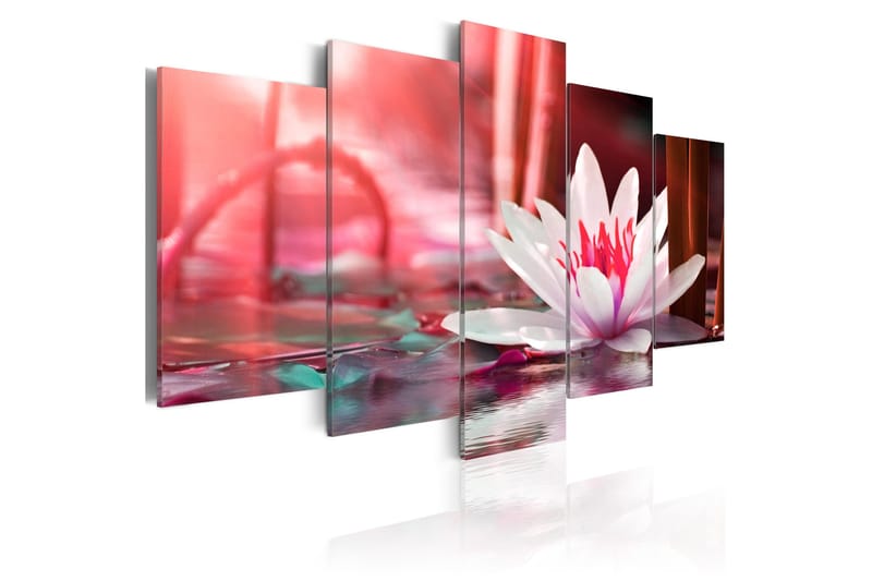 Bilde Amaranthine Lotus 100x50 - Artgeist sp. z o. o. - Innredning - Bilder & kunst - Lerretsbilder