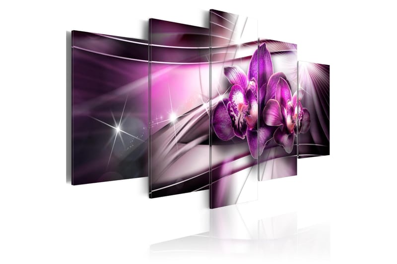 Bilde Amaranthine Tandem 200x100, Artgeist sp. z o. o.