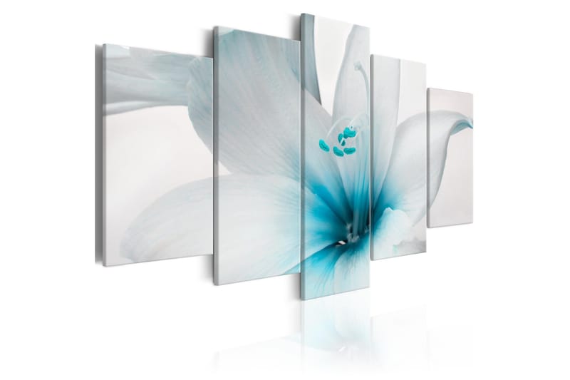 Bilde Amarylis Blue Charm 200x100, Artgeist sp. z o. o.