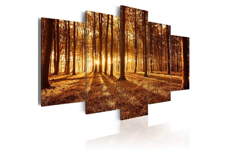 Bilde Amber Forest 200x100, Artgeist sp. z o. o.