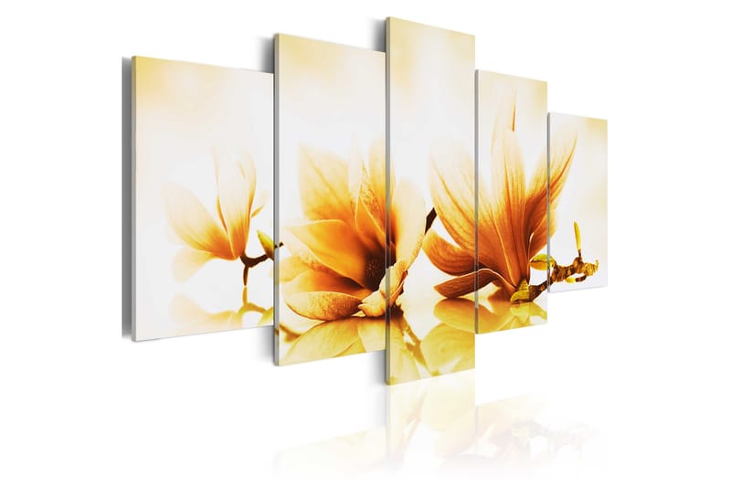 Bilde Amber Magnolias 100x50 - Artgeist sp. z o. o. - Innredning - Bilder & kunst - Lerretsbilder