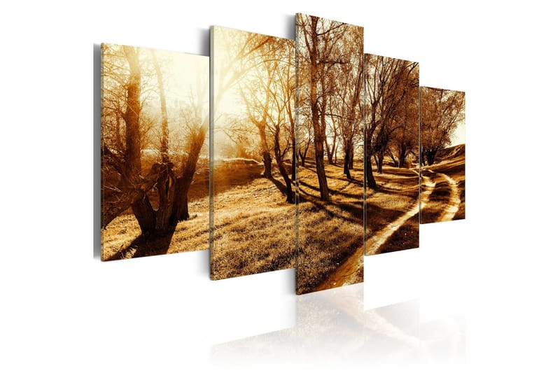 Bilde Amber Orchard 200x100, Artgeist sp. z o. o.