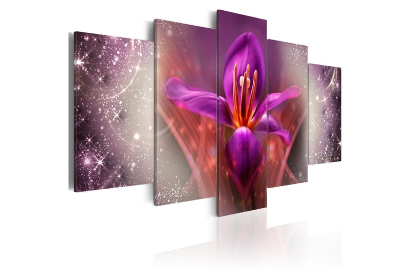 Bilde Among The Stars 200x100, Artgeist sp. z o. o.