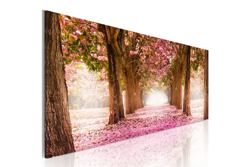 Bilde Amongst Dreams 120x40 - Artgeist sp. z o. o. - Innredning - Bilder & kunst - Lerretsbilder