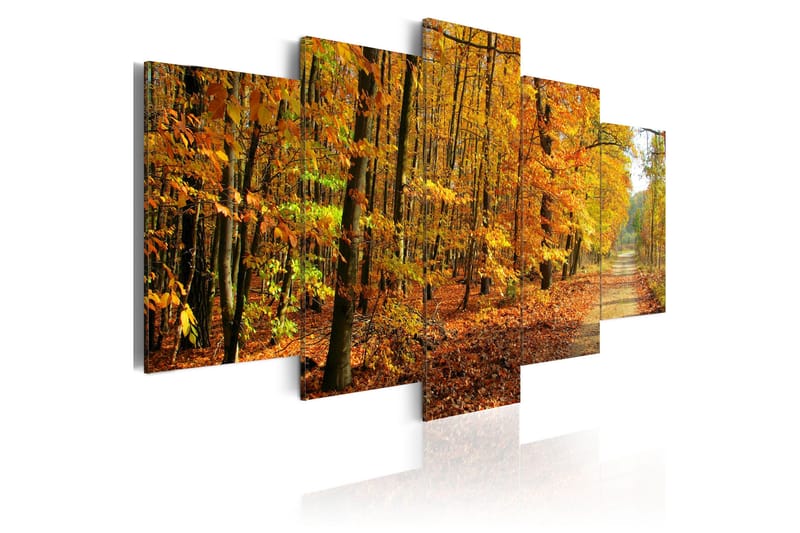 Bilde An Alley Among Colorful Leaves 100x50 - Artgeist sp. z o. o. - Innredning - Bilder & kunst - Lerretsbilder