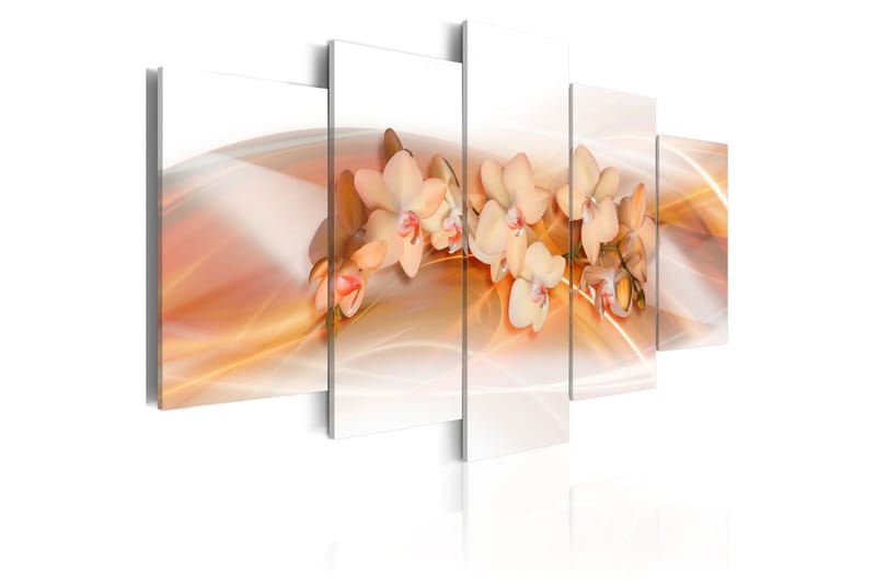 Bilde An Orchid A Delicate Decoration 100x50, Artgeist sp. z o. o.
