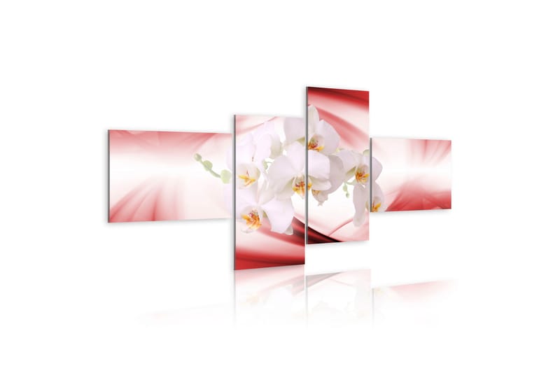 Bilde An Orchid In Pink Shade 100x45 - Artgeist sp. z o. o. - Innredning - Bilder & kunst - Lerretsbilder