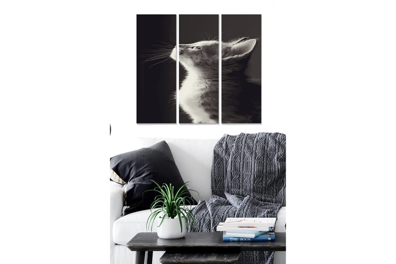 Bilde Animal 3-pk Flerfarget, 22x05 cm