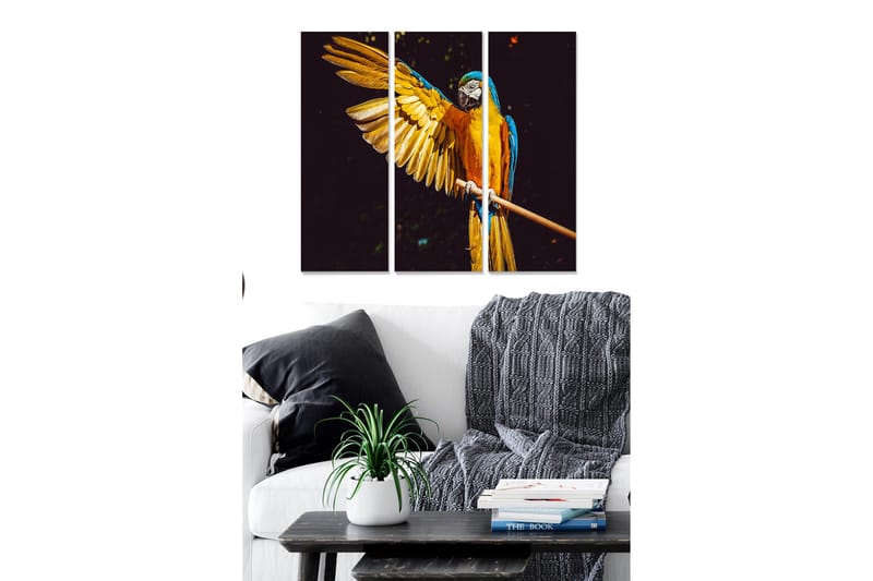 Bilde Animal 3-pk Flerfarget, 22x05 cm