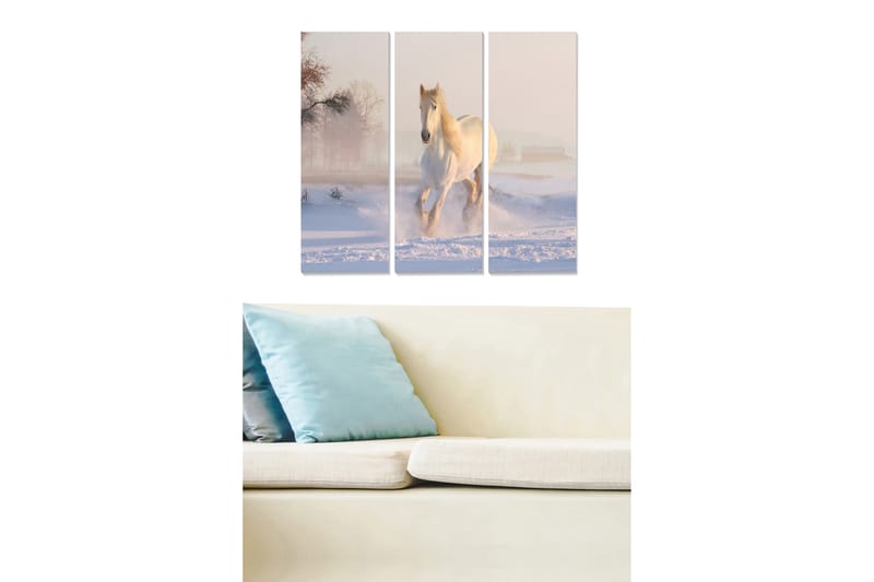 Bilde Animal 3-pk Flerfarget - 22x05 cm - Innredning - Bilder & kunst - Lerretsbilder