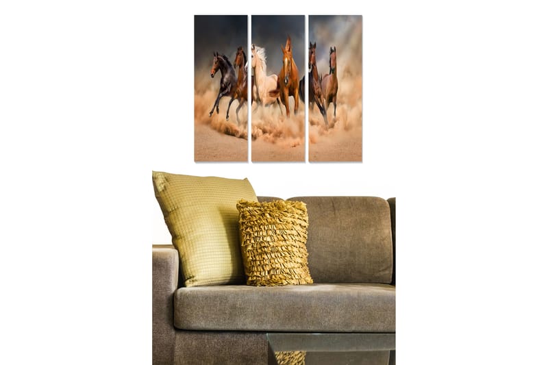 Bilde Animal 3-pk Flerfarget - 22x05 cm - Innredning - Bilder & kunst - Lerretsbilder