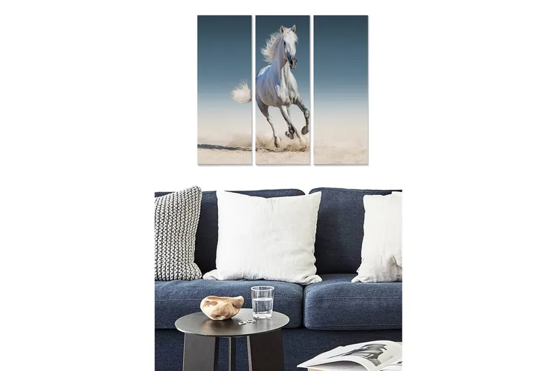 Bilde Animal 3-pk Flerfarget, 22x05 cm