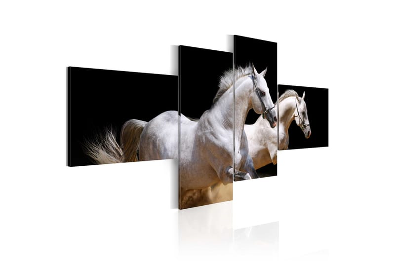 Bilde Animal World- White Horses Galloping 200x90 - Artgeist sp. z o. o. - Innredning - Bilder & kunst - Lerretsbilder