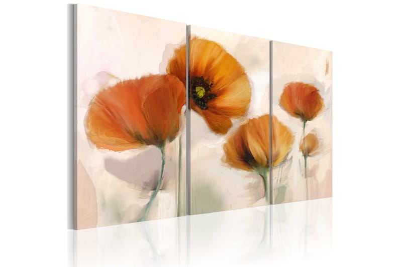 Bilde Artistic Poppies Triptych 60x40 - Artgeist sp. z o. o. - Innredning - Bilder & kunst - Lerretsbilder