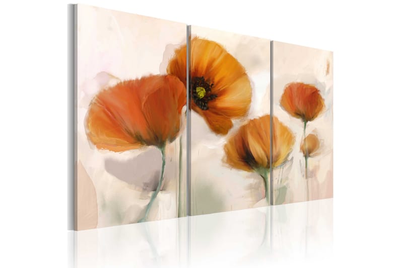 Bilde Artistic Poppies Triptych 60x40 - Artgeist sp. z o. o. - Innredning - Bilder & kunst - Lerretsbilder