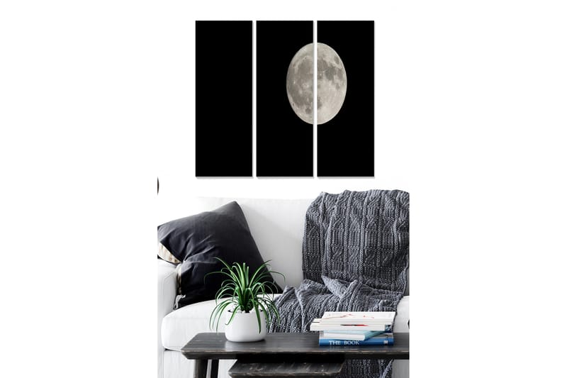 Bilde Astrology 3-pk Flerfarget - 22x05 cm - Innredning - Bilder & kunst - Lerretsbilder