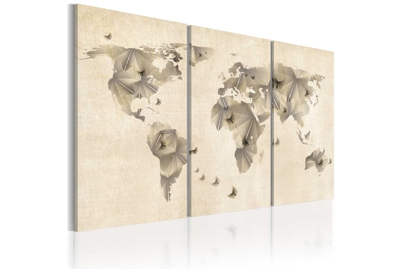 Bilde Atlas Of Sommerfugler Triptyk 120x80 - Artgeist sp. z o. o. - Innredning - Bilder & kunst - Lerretsbilder
