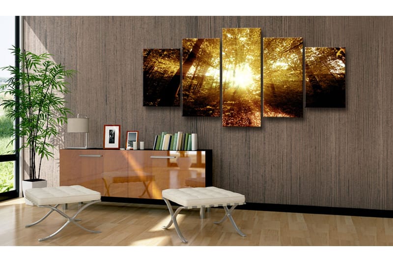 Bilde Autumn Forest 200x100 - Artgeist sp. z o. o. - Innredning - Bilder & kunst - Lerretsbilder