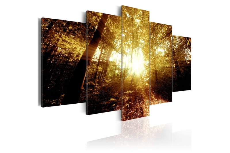 Bilde Autumn Forest 200x100, Artgeist sp. z o. o.