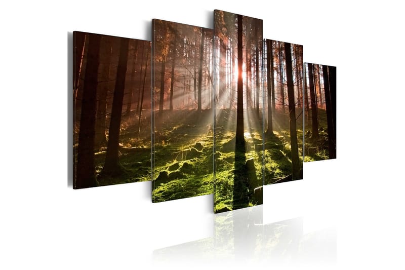 Bilde Autumn Silence 100x50 - Artgeist sp. z o. o. - Innredning - Bilder & kunst - Lerretsbilder