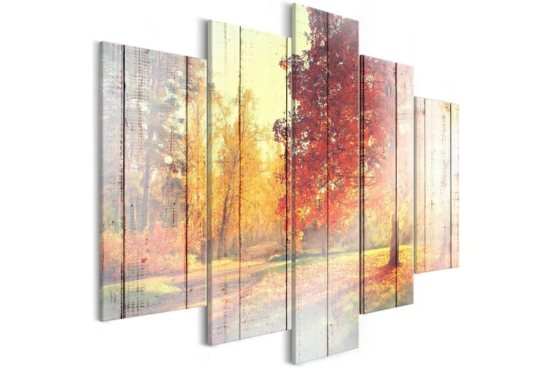 Bilde Autumn Sun 5 Parts Wide 100x50, Artgeist sp. z o. o.
