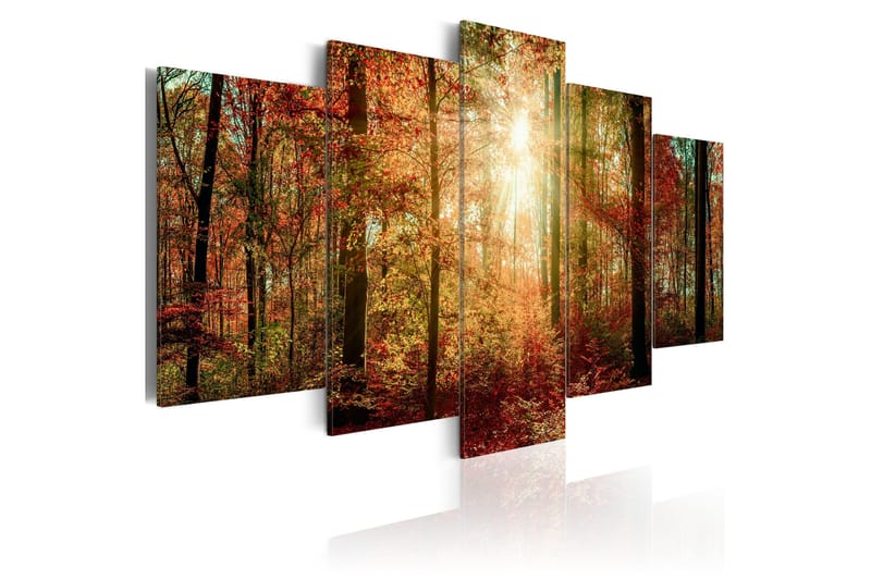 Bilde Autumn Wilderness 100x50, Artgeist sp. z o. o.