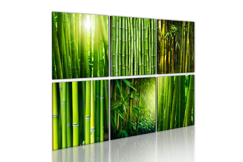 Bilde Bamboo Has Many Faces 120x80 - Artgeist sp. z o. o. - Innredning - Bilder & kunst - Lerretsbilder