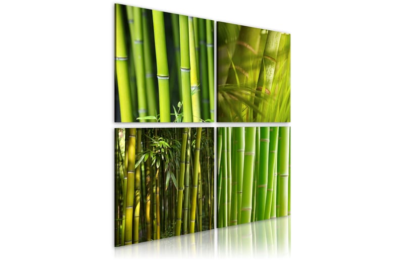 Bilde Bambus 40x40, Artgeist sp. z o. o.