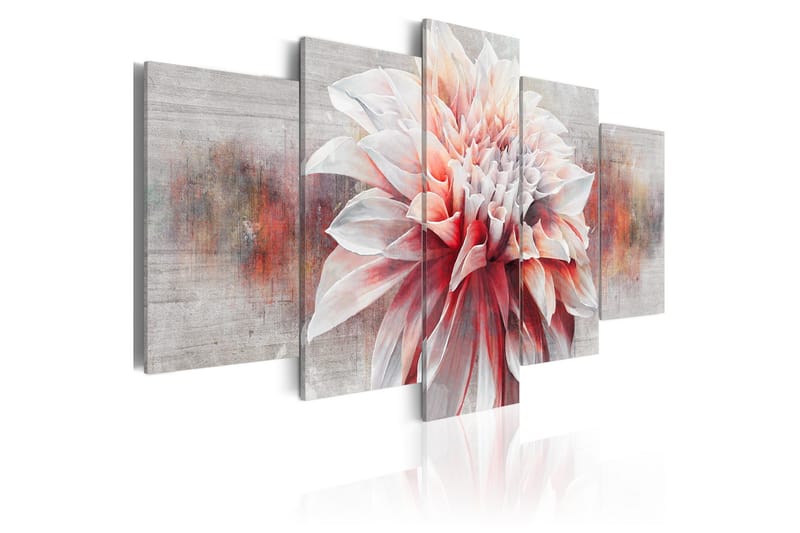 Bilde Beautiful Lady 100x50 - Artgeist sp. z o. o. - Innredning - Bilder & kunst - Lerretsbilder