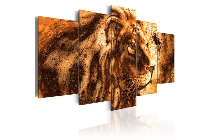 Bilde Beautiful Lion 100x50 - Artgeist sp. z o. o. - Lerretsbilder