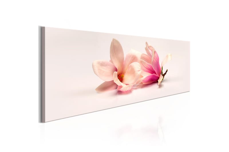 Bilde Beautiful Magnolias 150x50, Artgeist sp. z o. o.