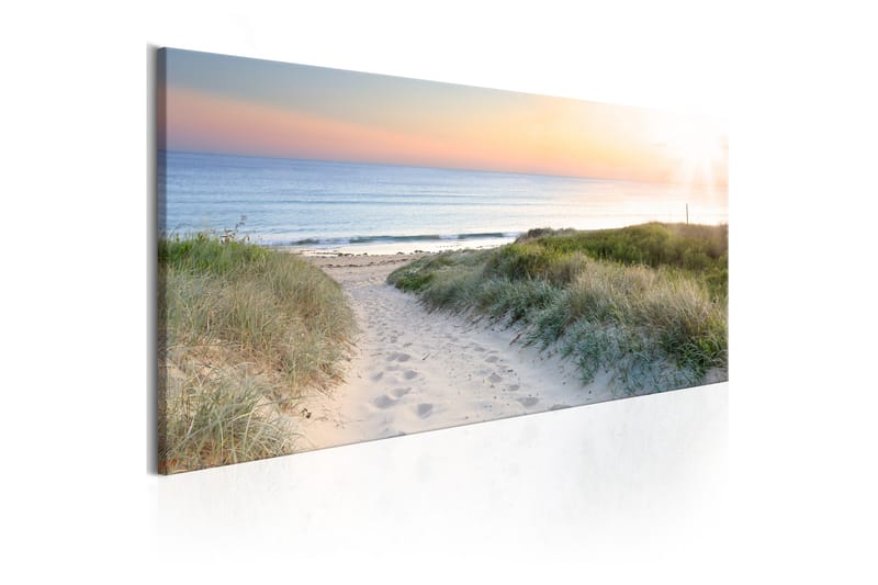 Bilde Beautiful Path 120x40 - Artgeist sp. z o. o. - Innredning - Bilder & kunst - Lerretsbilder