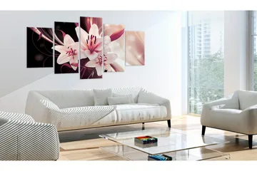 Bilde Beauty Mystery 100x50 - Artgeist sp. z o. o. - Innredning - Bilder & kunst - Lerretsbilder
