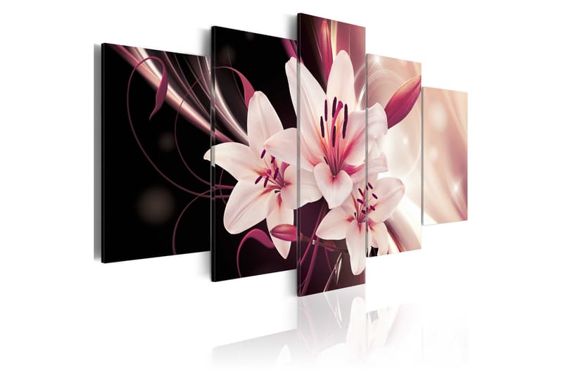 Bilde Beauty Mystery 100x50 - Artgeist sp. z o. o. - Innredning - Bilder & kunst - Lerretsbilder