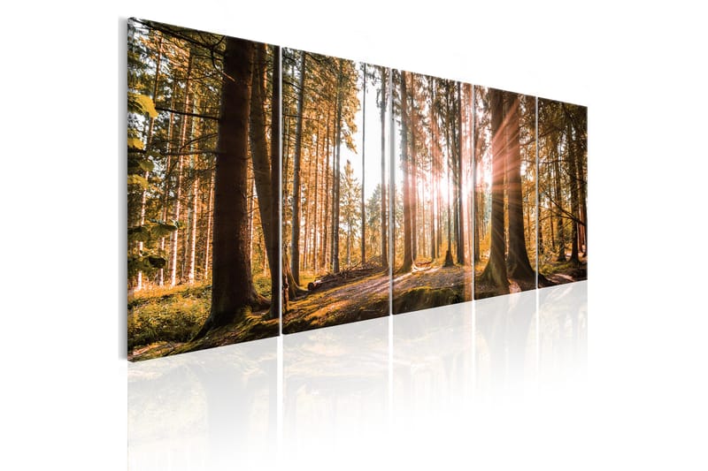 Bilde Beauty Of Nature 225x90 - Artgeist sp. z o. o. - Innredning - Bilder & kunst - Lerretsbilder