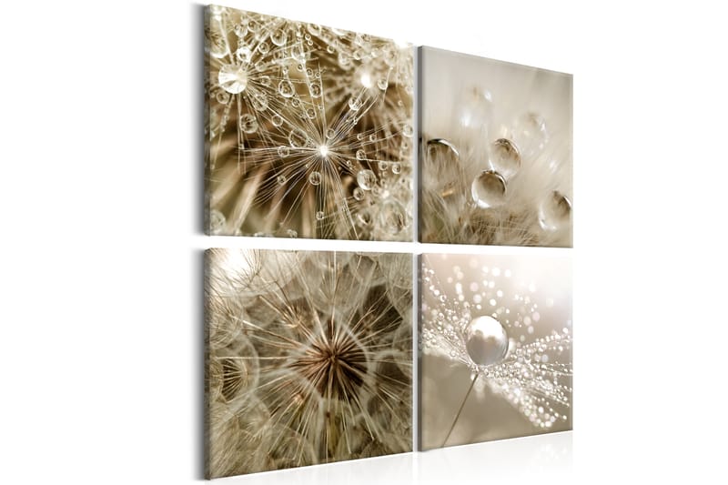 Bilde Beige Summer 40x40 - Artgeist sp. z o. o. - Innredning - Bilder & kunst - Lerretsbilder