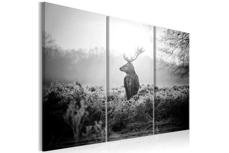 Bilde Black And White Deer 90x60 - Artgeist sp. z o. o. - Lerretsbilder