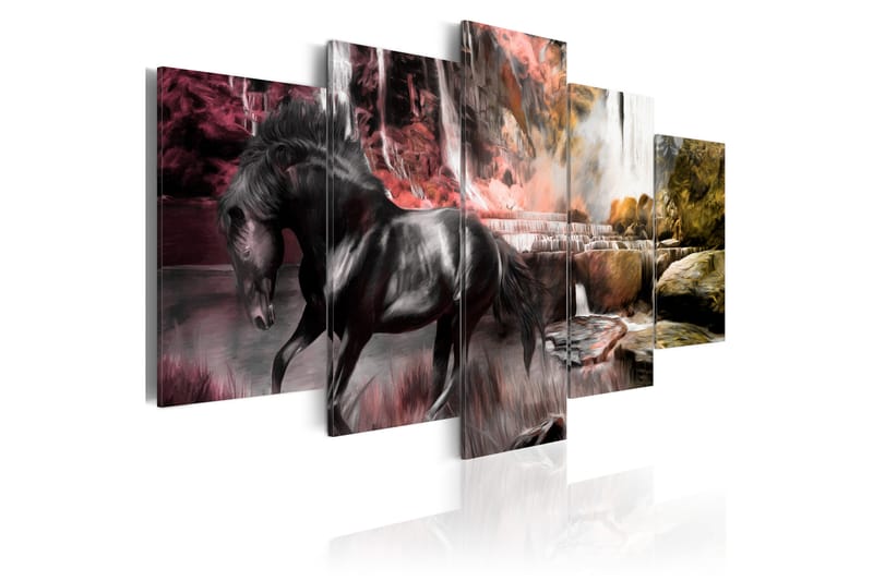 Bilde Black Horse On Crimson Sky Background 100x50 - Artgeist sp. z o. o. - Innredning - Bilder & kunst - Lerretsbilder