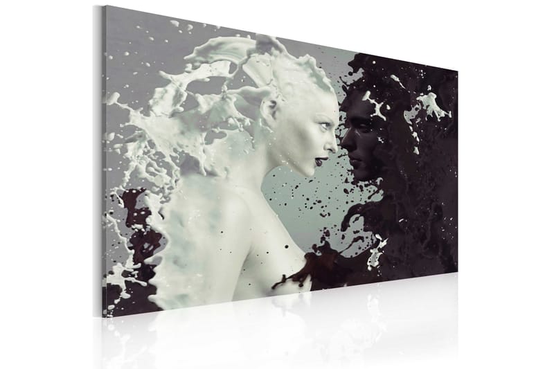 Bilde Black Or White? 60x40 - Artgeist sp. z o. o. - Innredning - Bilder & kunst - Lerretsbilder