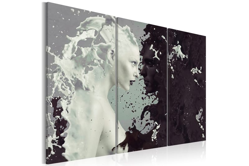 Bilde Black Or White? Triptych 60x40, Artgeist sp. z o. o.